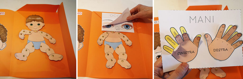 lapbook corpo umano scuola infanzia