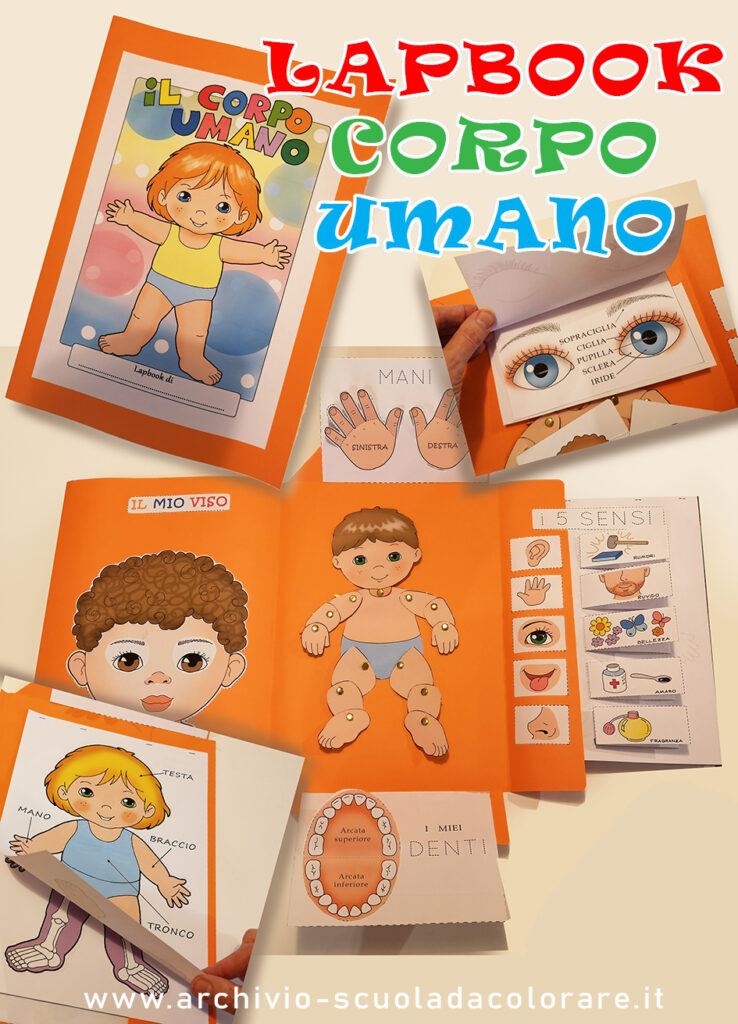 lapbook corpo umano scuola infanzia