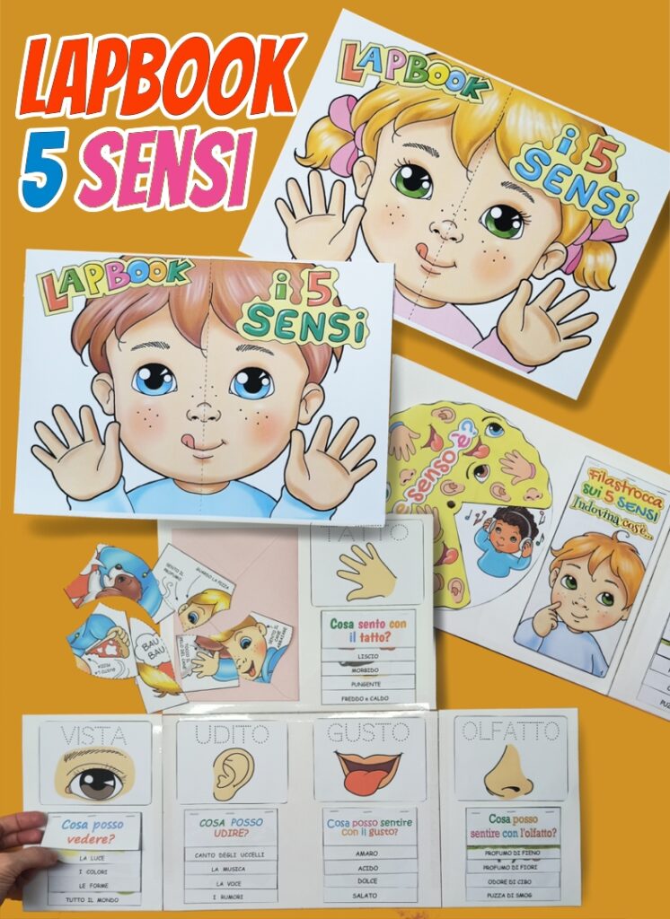 lapbook 5 sensi scuola infanzia e primo ciclo scuola primaria